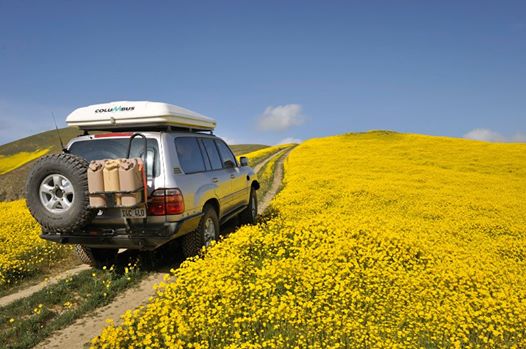 DIY Kit 100 Series Rear Bumper