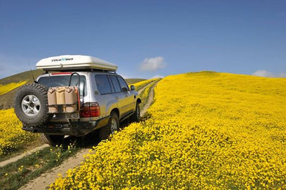 100 Series Land Cruiser (1998-2007) Rear Bumper